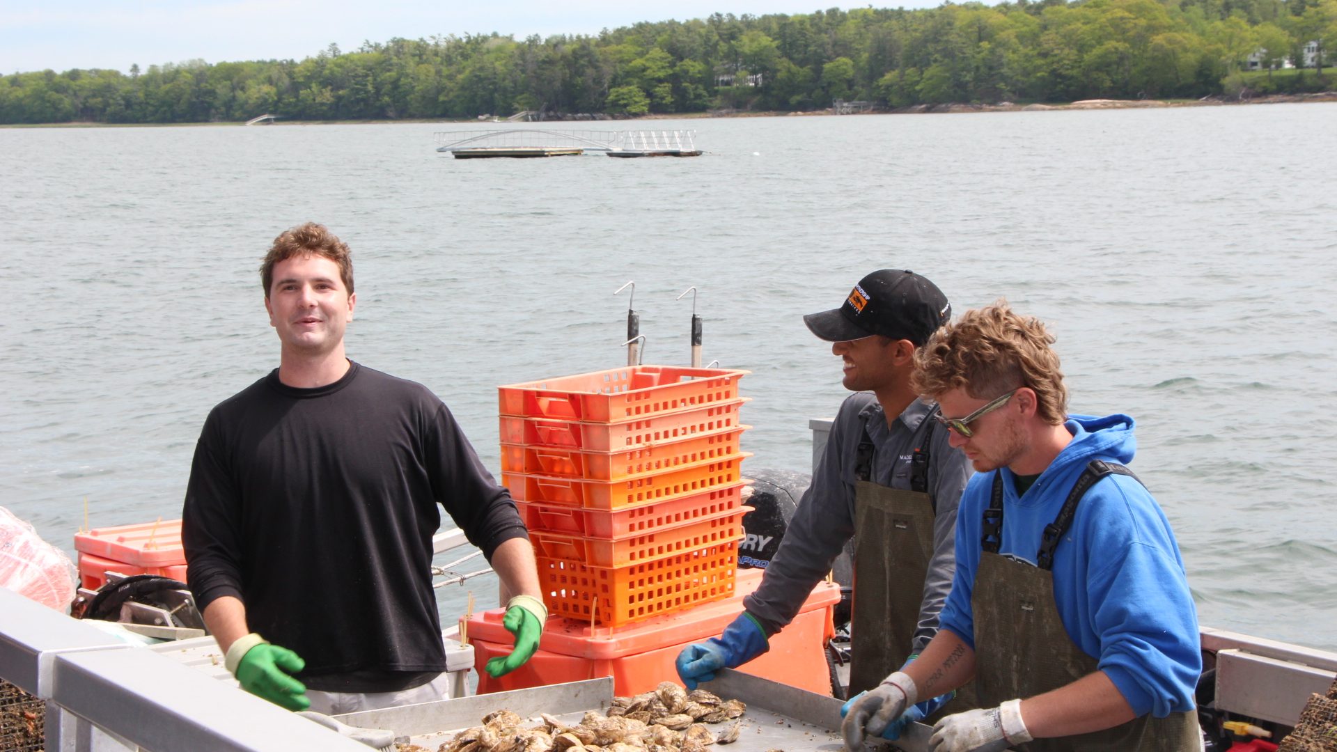Ch. 11 CBEP Bangs Mussels