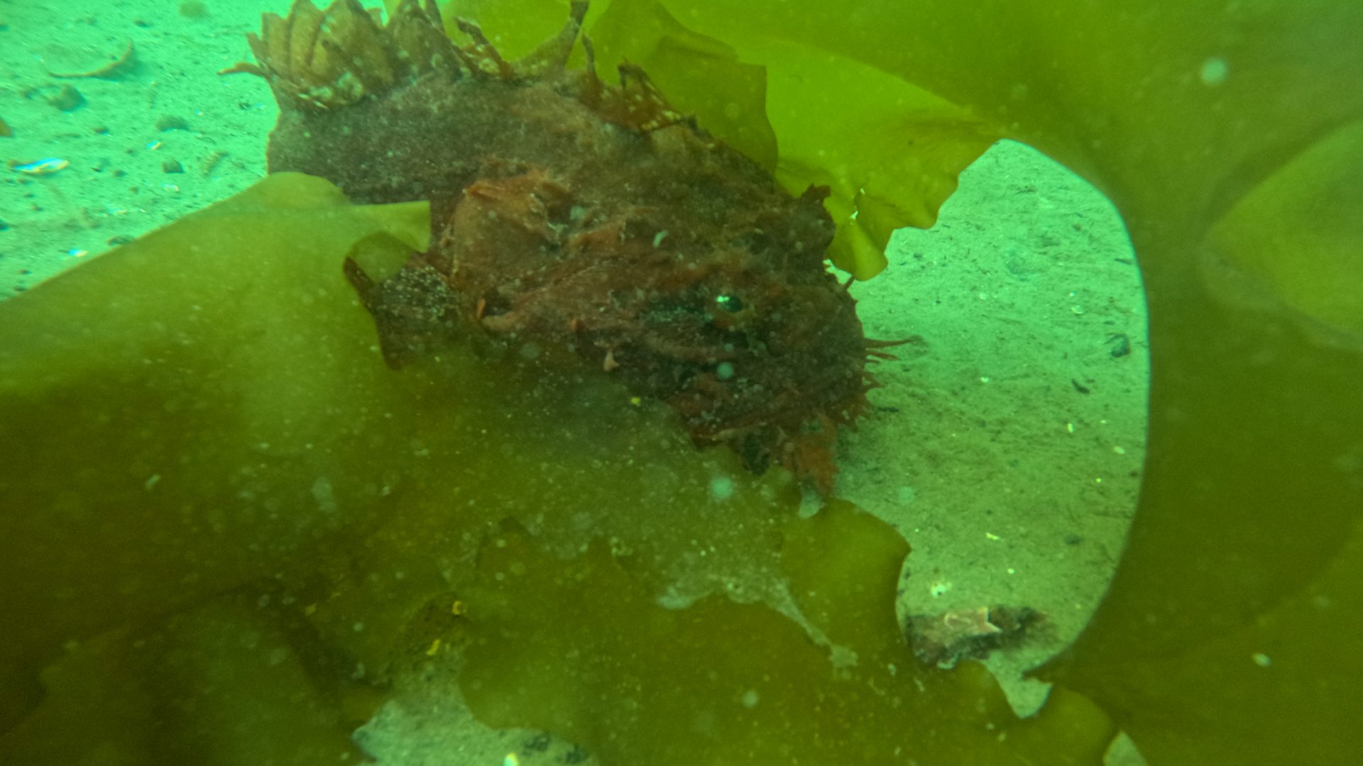 DCIM100GOPROGOPR0240.JPG