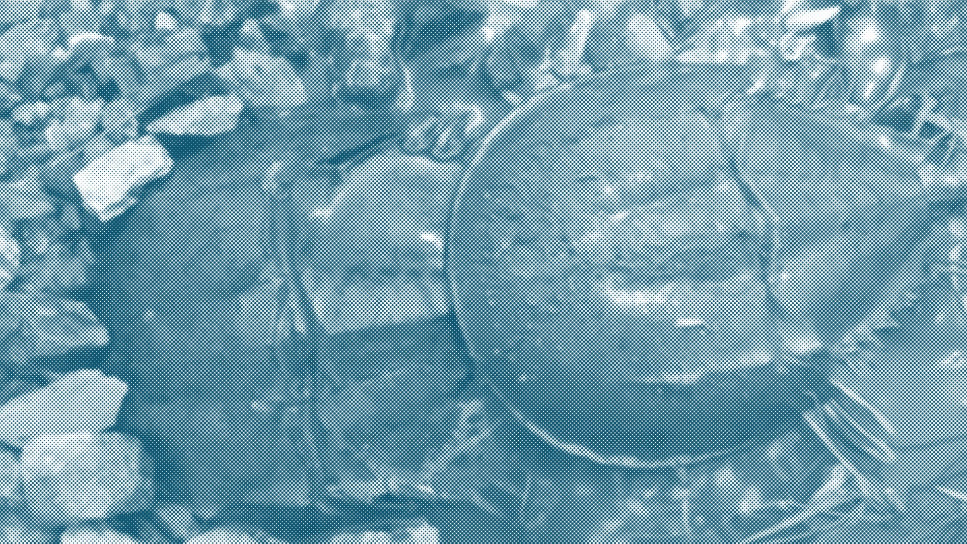 Ch.-12_Header-Image