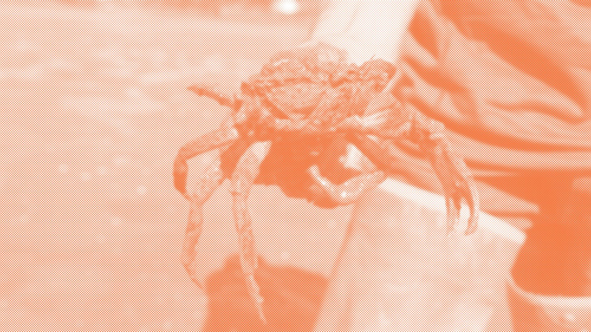 Ch.-13_Header-Image
