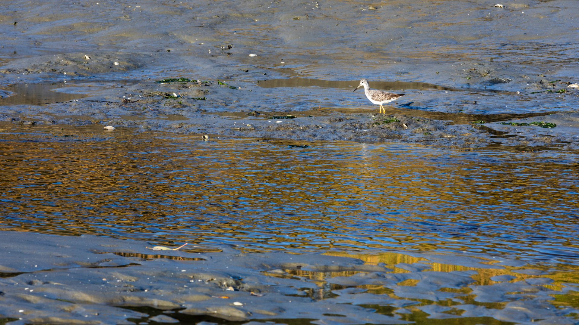 Ch. 14 Monkman beach image