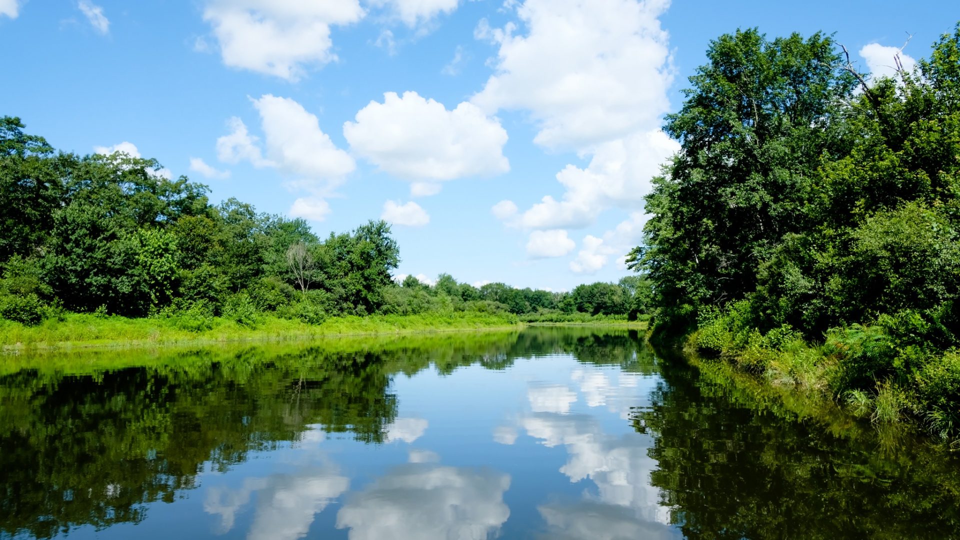 Rivermeadow Conservation Project PRLT