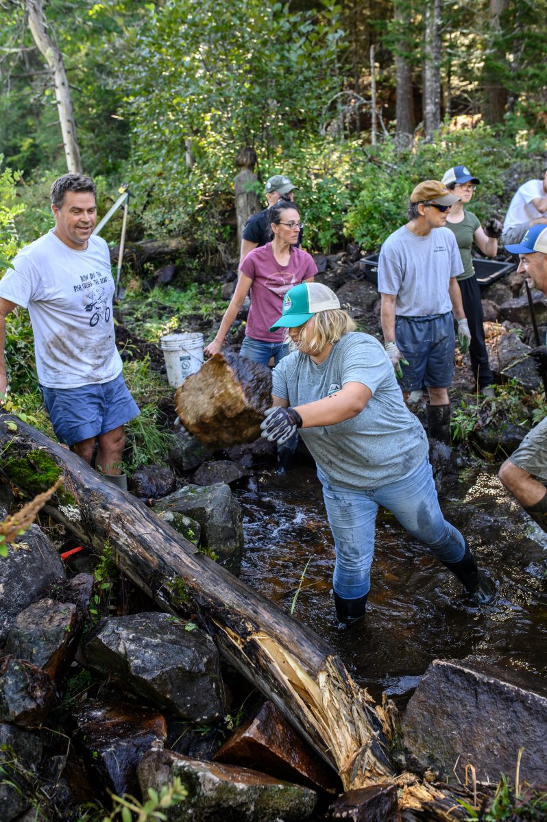 Burgress Brook dam removal in Jugtown Forest