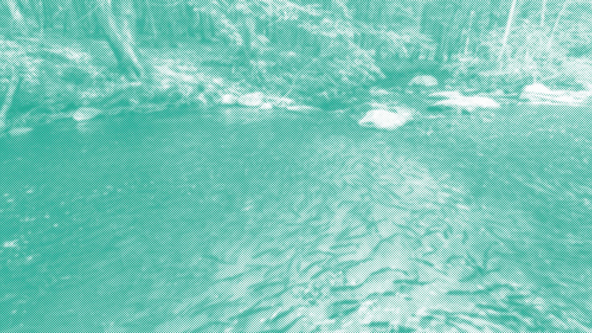 Ch.-18_Header-Image