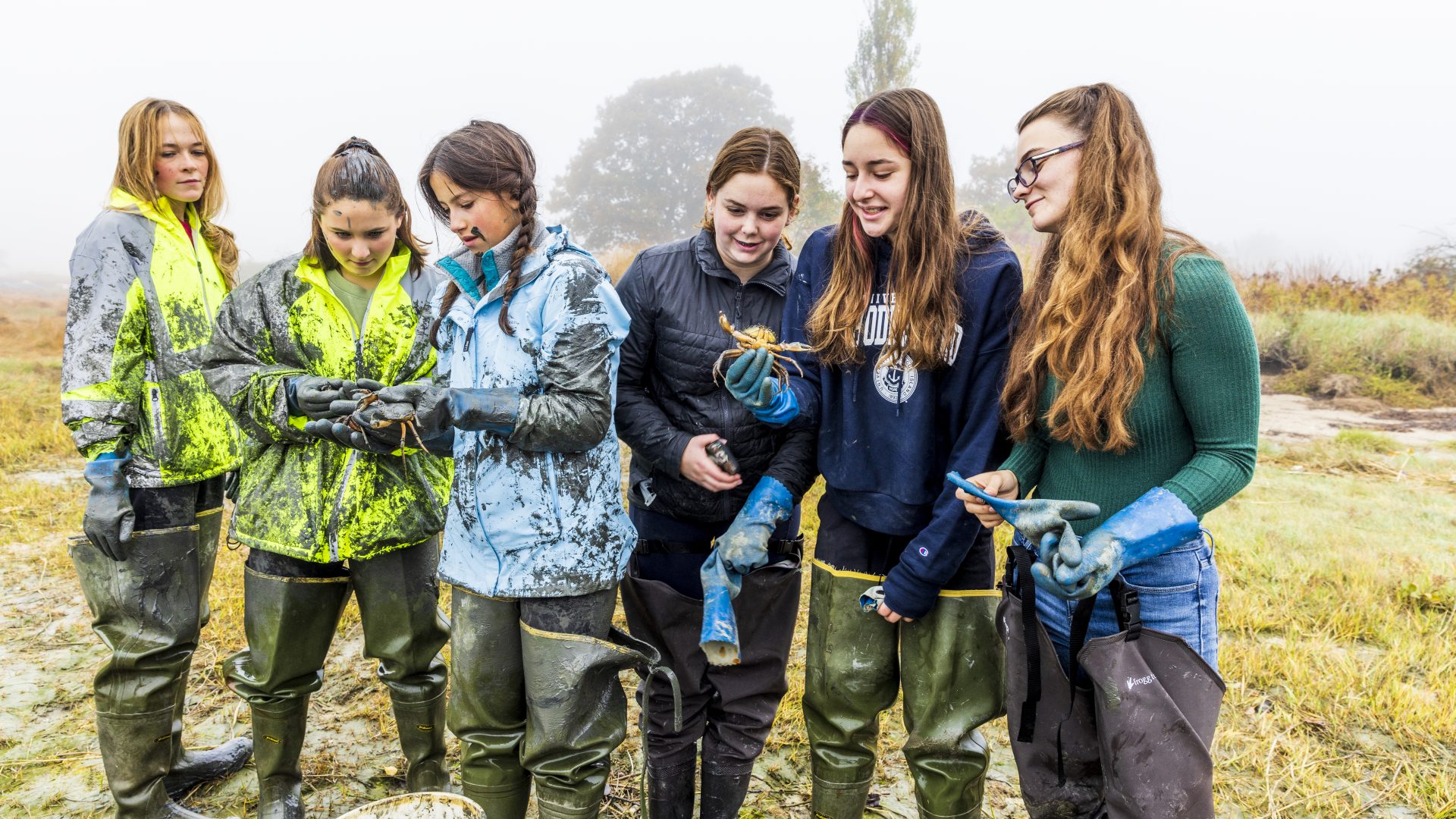 A Brunswick High School marine sciences class collects green crabs at Wharton Point on Marquoit Bay in Brunswick, Maine.