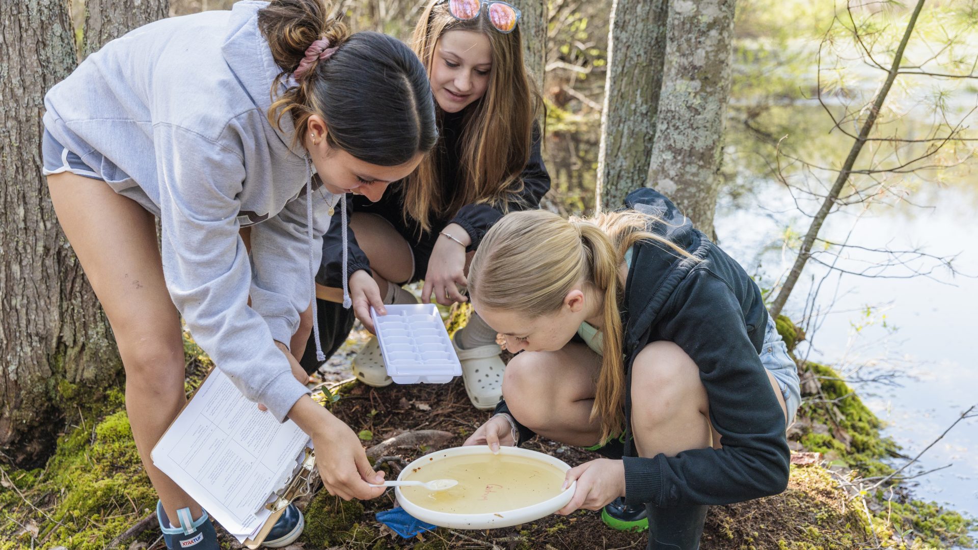 Gorham Middle School students sample a vernal pool for animal life.