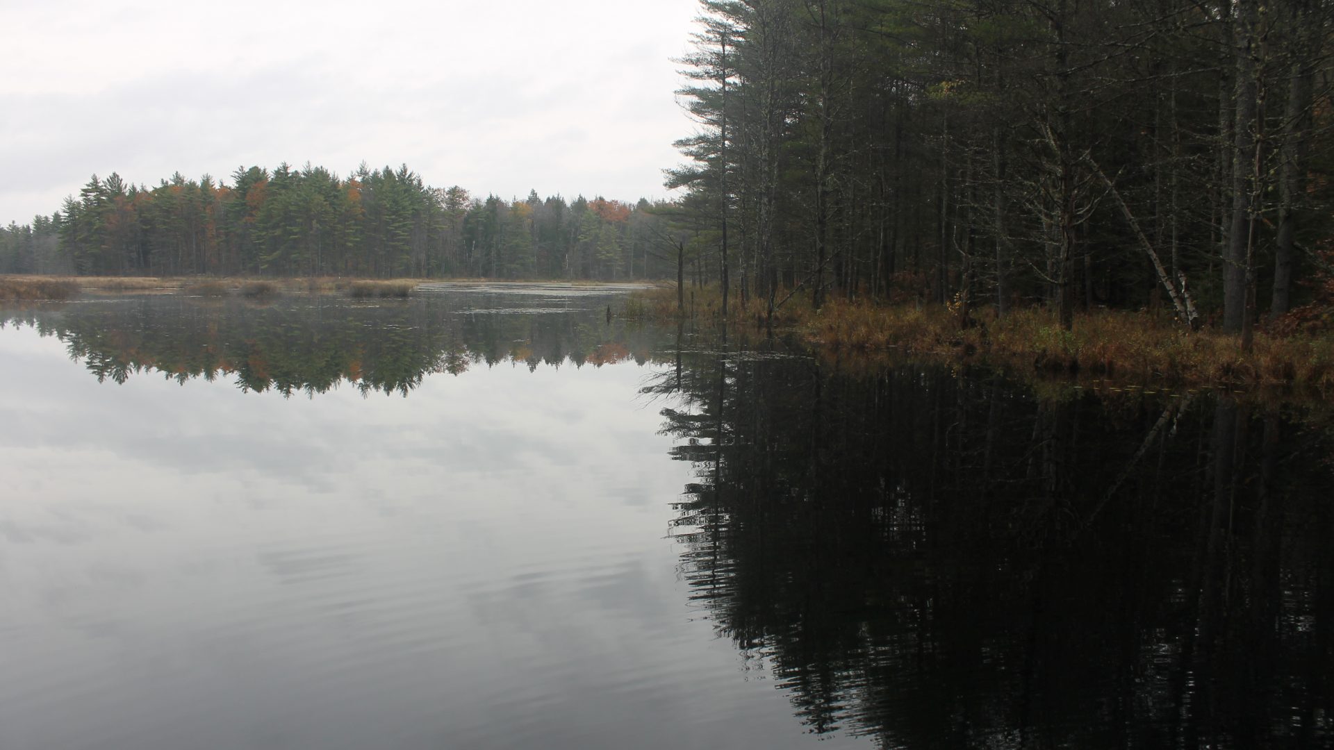 Ch. 5 Sebago Community Forest Credit Loon Echo Land Trust