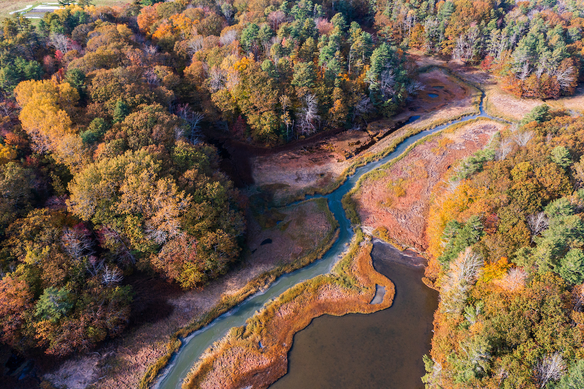 Tidal creek, forest, and marsh adjacent to Middle Bay Cove in Brunswick, Maine.