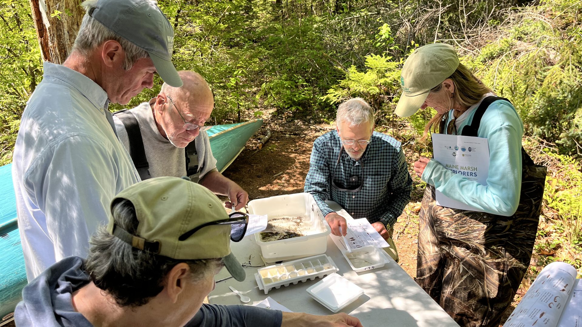 Credit to Maine Audubon