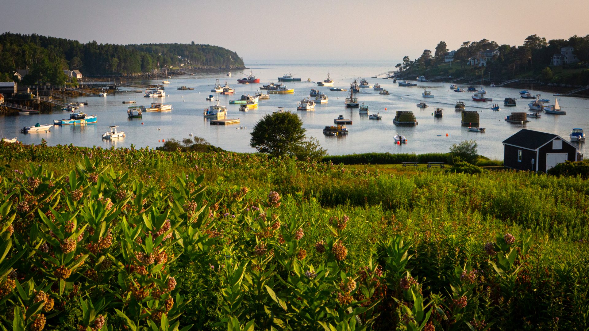 Mackerel_Cove